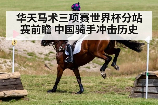 horse jumping cross country