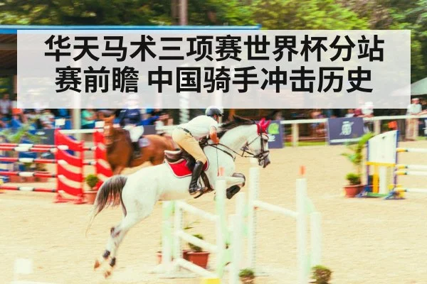 show jumping arena