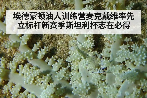 埃德蒙顿油人训练营麦克戴维率先立标杆新赛季斯坦利杯志在必得
